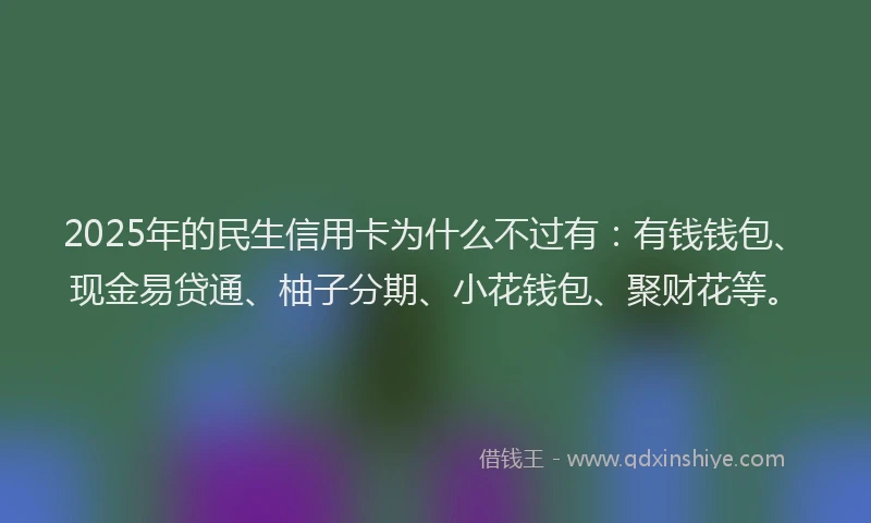 2025年的民生信用卡为什么不过有：有钱钱包、现金易贷通、柚子分期、小花钱包、聚财花等。