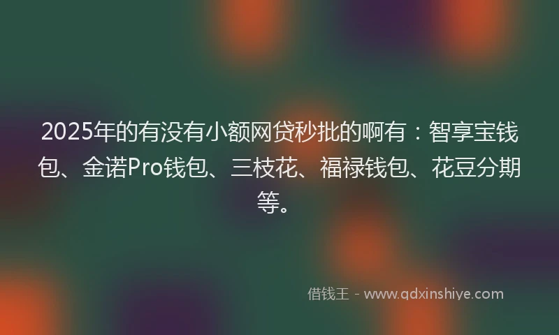 2025年的有没有小额网贷秒批的啊有：智享宝钱包、金诺Pro钱包、三枝花、福禄钱包、花豆分期等。