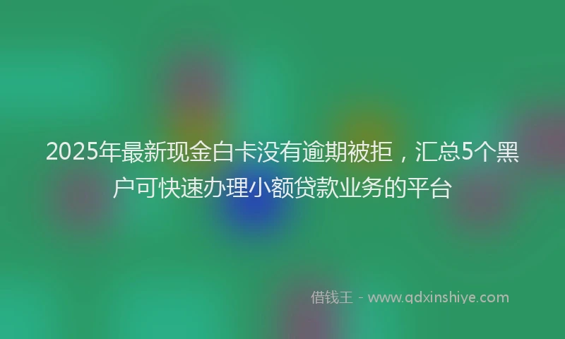 2025年最新现金白卡没有逾期被拒，汇总5个黑户可快速办理小额贷款业务的平台