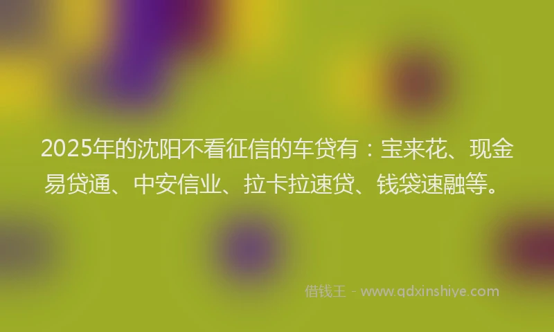 2025年的沈阳不看征信的车贷有：宝来花、现金易贷通、中安信业、拉卡拉速贷、钱袋速融等。