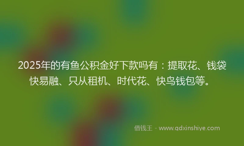 2025年的有鱼公积金好下款吗有：提取花、钱袋快易融、只从租机、时代花、快鸟钱包等。