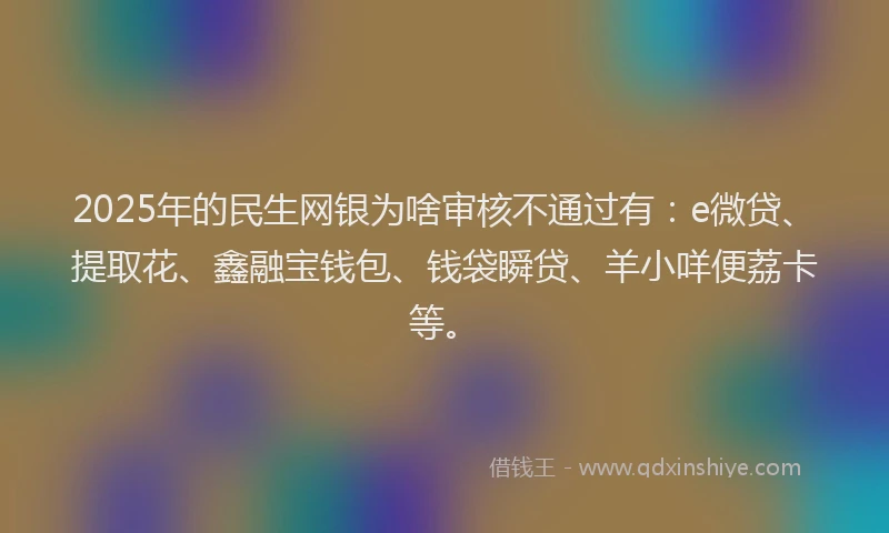 2025年的民生网银为啥审核不通过有：e微贷、提取花、鑫融宝钱包、钱袋瞬贷、羊小咩便荔卡等。