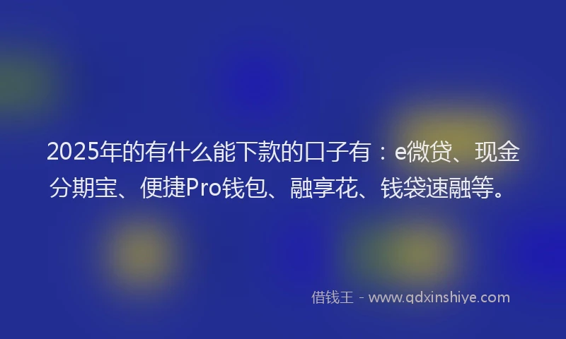 2025年的有什么能下款的口子有：e微贷、现金分期宝、便捷Pro钱包、融享花、钱袋速融等。