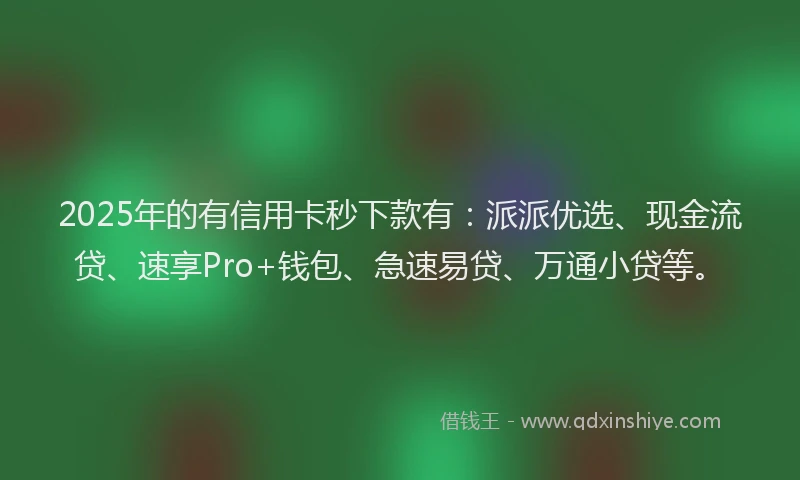 2025年的有信用卡秒下款有：派派优选、现金流贷、速享Pro+钱包、急速易贷、万通小贷等。