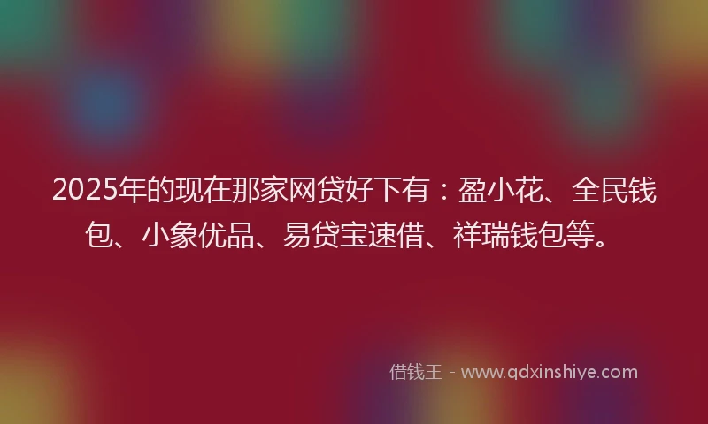 2025年的现在那家网贷好下有：盈小花、全民钱包、小象优品、易贷宝速借、祥瑞钱包等。