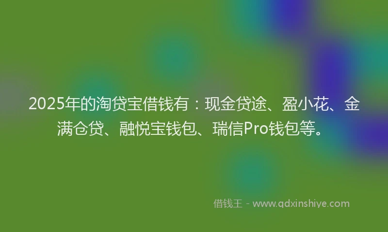 2025年的淘贷宝借钱有：现金贷途、盈小花、金满仓贷、融悦宝钱包、瑞信Pro钱包等。