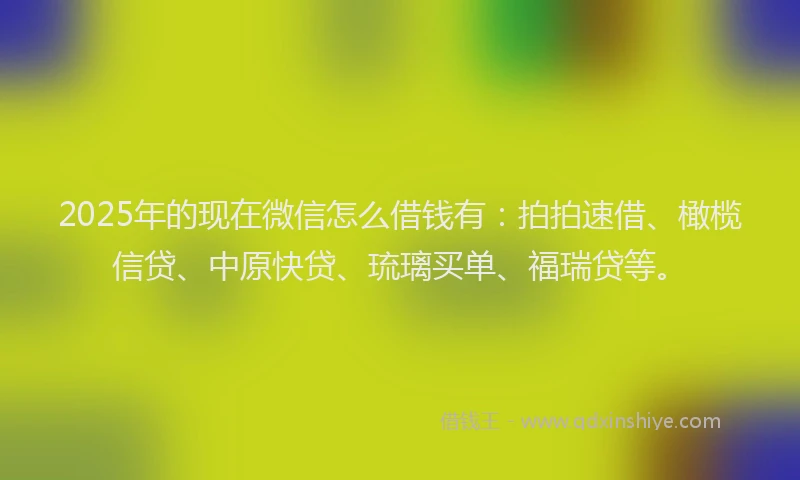 2025年的现在微信怎么借钱有：拍拍速借、橄榄信贷、中原快贷、琉璃买单、福瑞贷等。