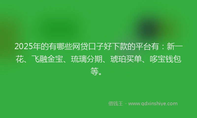 2025年的有哪些网贷口子好下款的平台有：新一花、飞融金宝、琉璃分期、琥珀买单、哆宝钱包等。
