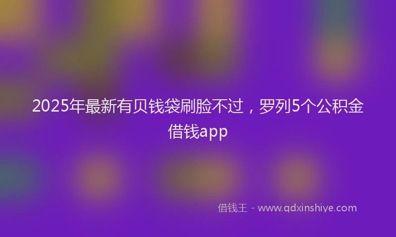 2025年最新有贝钱袋刷脸不过，罗列5个公积金借钱app