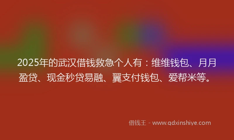 2025年的武汉借钱救急个人有：维维钱包、月月盈贷、现金秒贷易融、翼支付钱包、爱帮米等。