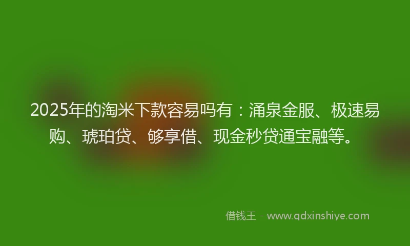 2025年的淘米下款容易吗有：涌泉金服、极速易购、琥珀贷、够享借、现金秒贷通宝融等。