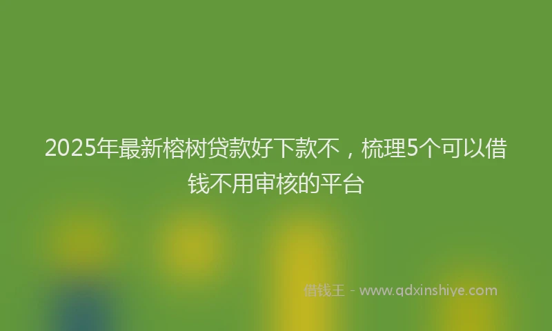 2025年最新榕树贷款好下款不，梳理5个可以借钱不用审核的平台
