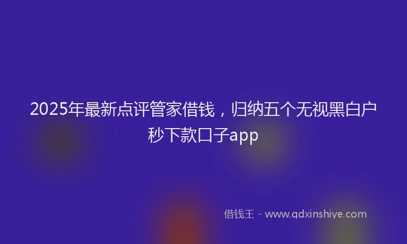 2025年最新点评管家借钱，归纳五个无视黑白户秒下款口子app