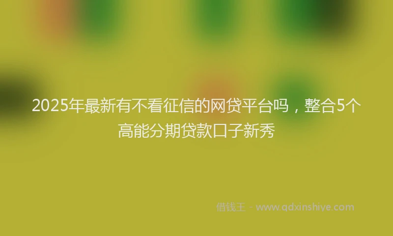 2025年最新有不看征信的网贷平台吗，整合5个高能分期贷款口子新秀