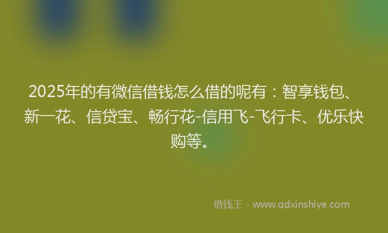 2025年的有微信借钱怎么借的呢有：智享钱包、新一花、信贷宝、畅行花-信用飞-飞行卡、优乐快购等。
