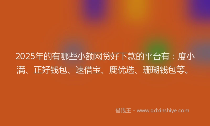 2025年的有哪些小额网贷好下款的平台有：度小满、正好钱包、速借宝、鹿优选、珊瑚钱包等。
