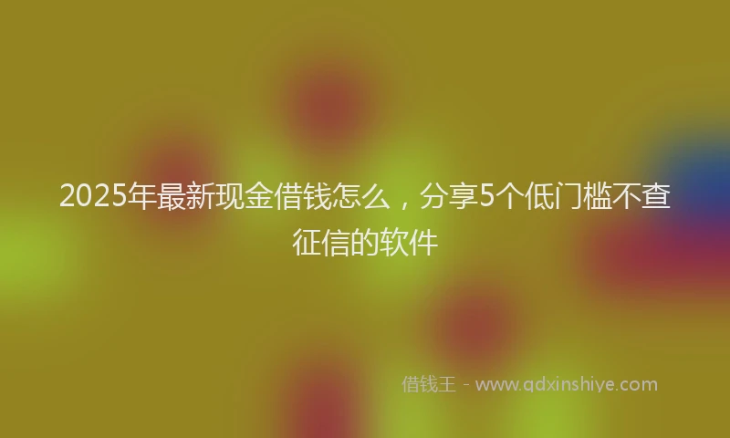 2025年最新现金借钱怎么，分享5个低门槛不查征信的软件