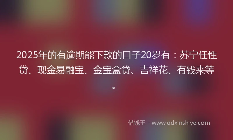 2025年的有逾期能下款的口子20岁有：苏宁任性贷、现金易融宝、金宝盒贷、吉祥花、有钱来等。