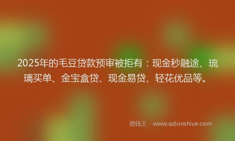 2025年的毛豆贷款预审被拒有：现金秒融途、琉璃买单、金宝盒贷、现金易贷、轻花优品等。