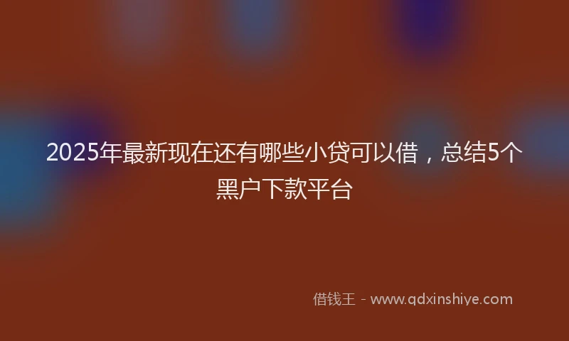 2025年最新现在还有哪些小贷可以借，总结5个黑户下款平台