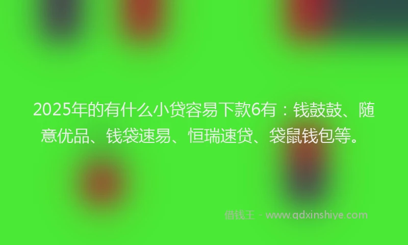2025年的有什么小贷容易下款6有：钱鼓鼓、随意优品、钱袋速易、恒瑞速贷、袋鼠钱包等。