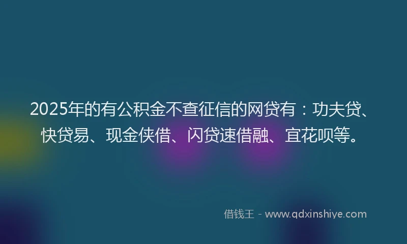 2025年的有公积金不查征信的网贷有：功夫贷、快贷易、现金侠借、闪贷速借融、宜花呗等。
