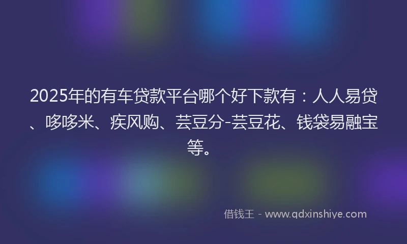 2025年的有车贷款平台哪个好下款有：人人易贷、哆哆米、疾风购、芸豆分-芸豆花、钱袋易融宝等。