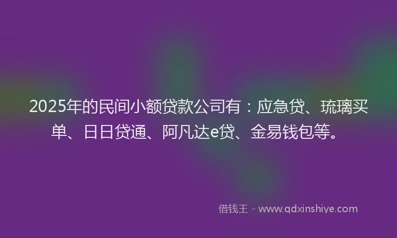 2025年的民间小额贷款公司有：应急贷、琉璃买单、日日贷通、阿凡达e贷、金易钱包等。
