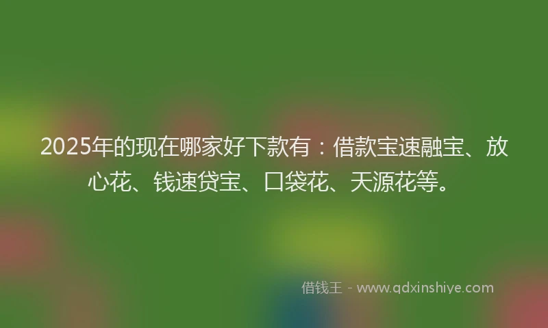 2025年的现在哪家好下款有：借款宝速融宝、放心花、钱速贷宝、口袋花、天源花等。