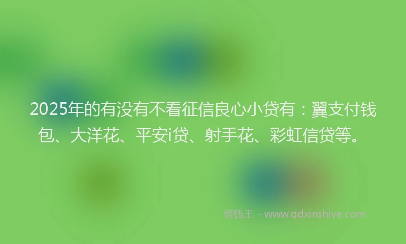 2025年的有没有不看征信良心小贷有：翼支付钱包、大洋花、平安i贷、射手花、彩虹信贷等。