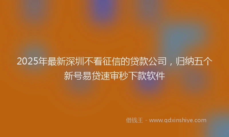 2025年最新深圳不看征信的贷款公司，归纳五个新号易贷速审秒下款软件