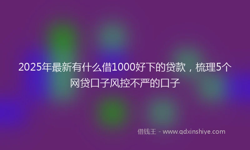 2025年最新有什么借1000好下的贷款，梳理5个网贷口子风控不严的口子