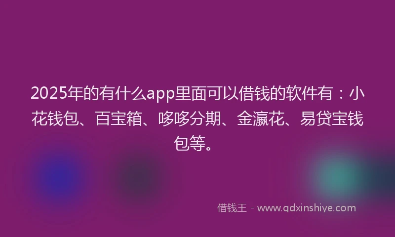 2025年的有什么app里面可以借钱的软件有：小花钱包、百宝箱、哆哆分期、金瀛花、易贷宝钱包等。