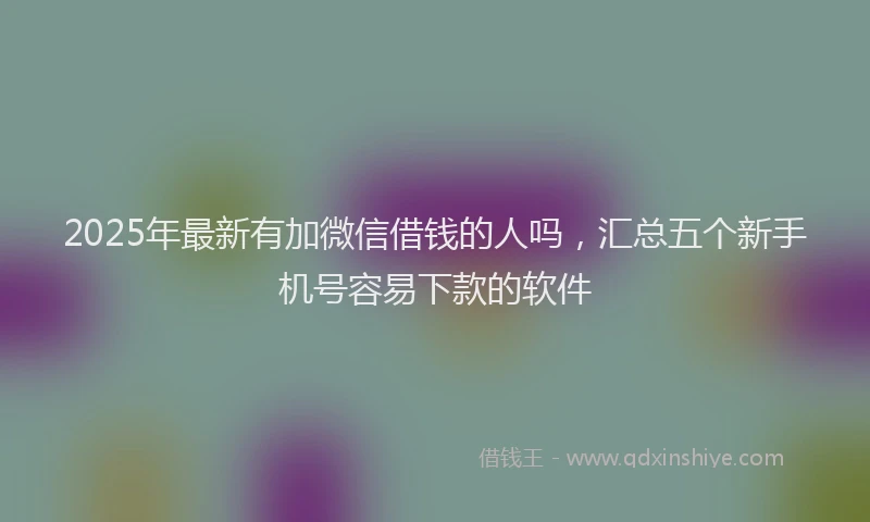 2025年最新有加微信借钱的人吗，汇总五个新手机号容易下款的软件