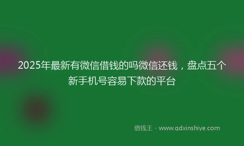 2025年最新有微信借钱的吗微信还钱，盘点五个新手机号容易下款的平台