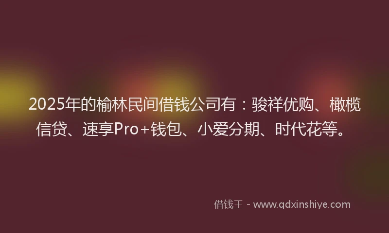 2025年的榆林民间借钱公司有：骏祥优购、橄榄信贷、速享Pro+钱包、小爱分期、时代花等。