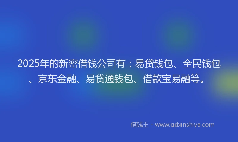 2025年的新密借钱公司有：易贷钱包、全民钱包、京东金融、易贷通钱包、借款宝易融等。