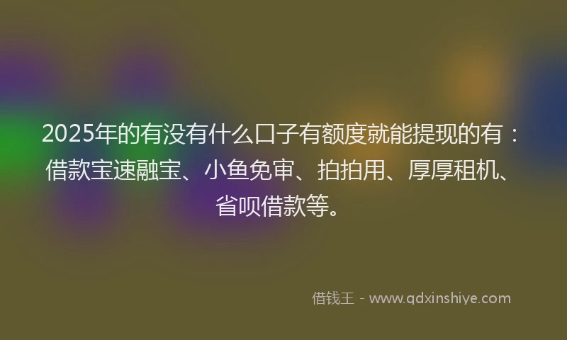 2025年的有没有什么口子有额度就能提现的有：借款宝速融宝、小鱼免审、拍拍用、厚厚租机、省呗借款等。