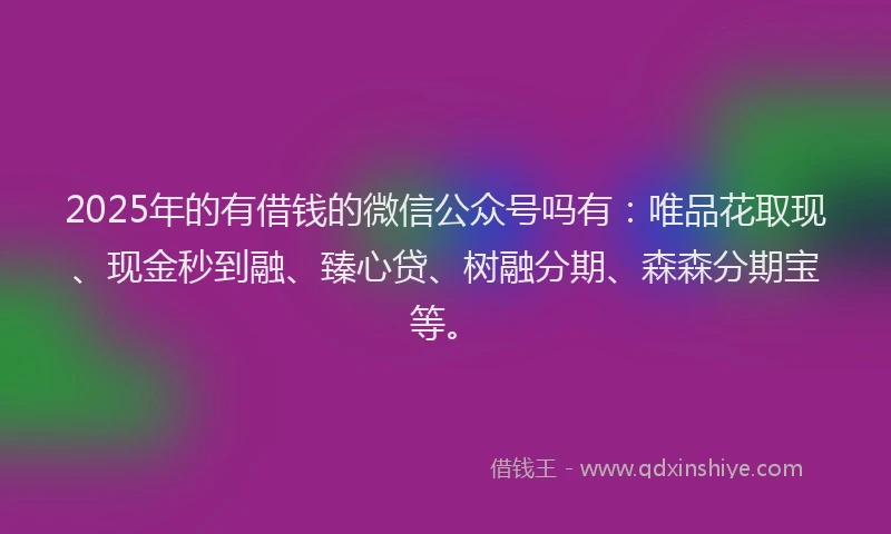 2025年的有借钱的微信公众号吗有：唯品花取现、现金秒到融、臻心贷、树融分期、森森分期宝等。