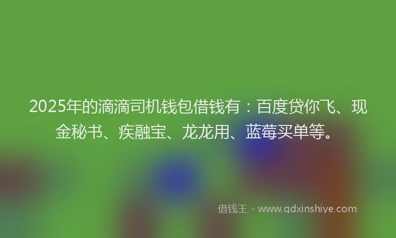 2025年的滴滴司机钱包借钱有：百度贷你飞、现金秘书、疾融宝、龙龙用、蓝莓买单等。