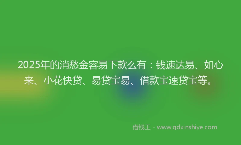 2025年的消愁金容易下款么有：钱速达易、如心来、小花快贷、易贷宝易、借款宝速贷宝等。