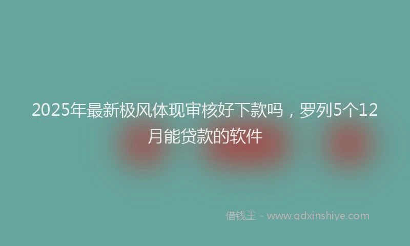 2025年最新极风体现审核好下款吗，罗列5个12月能贷款的软件