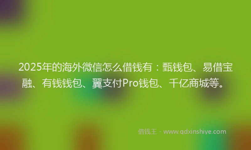 2025年的海外微信怎么借钱有：甄钱包、易借宝融、有钱钱包、翼支付Pro钱包、千亿商城等。
