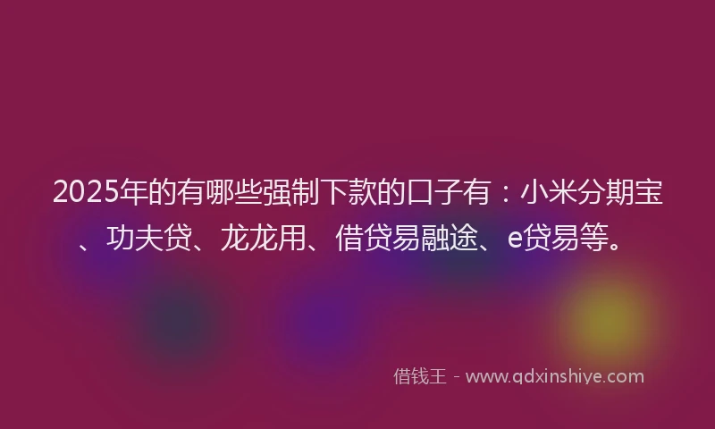 2025年的有哪些强制下款的口子有：小米分期宝、功夫贷、龙龙用、借贷易融途、e贷易等。