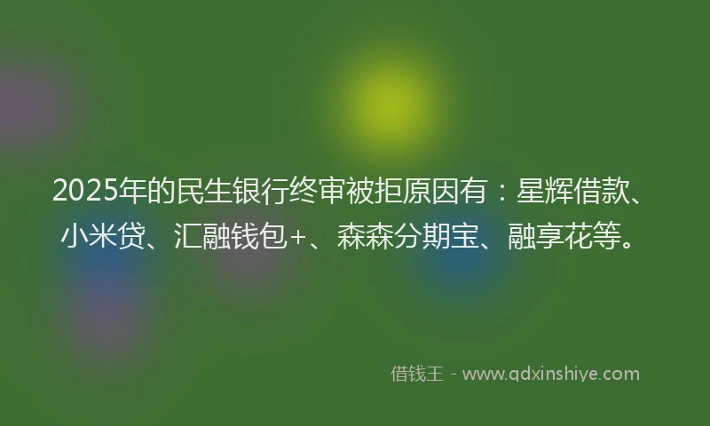 2025年的民生银行终审被拒原因有：星辉借款、小米贷、汇融钱包+、森森分期宝、融享花等。