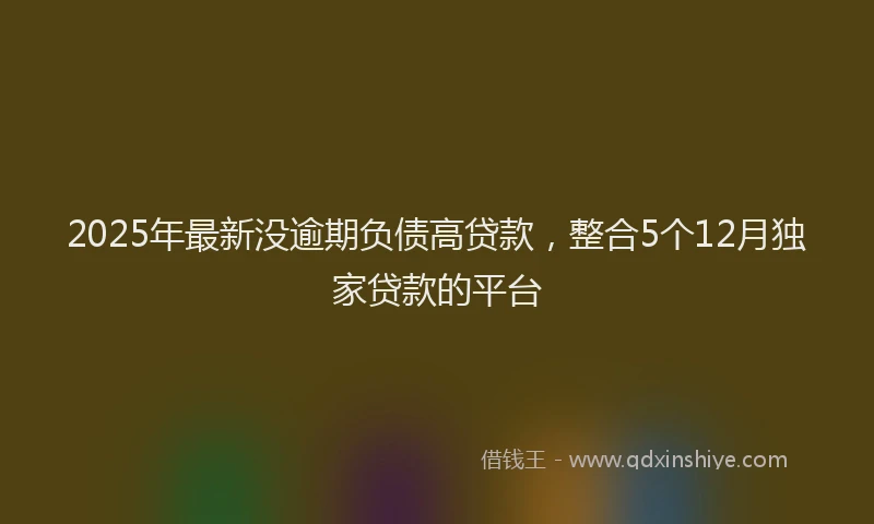 2025年最新没逾期负债高贷款，整合5个12月独家贷款的平台