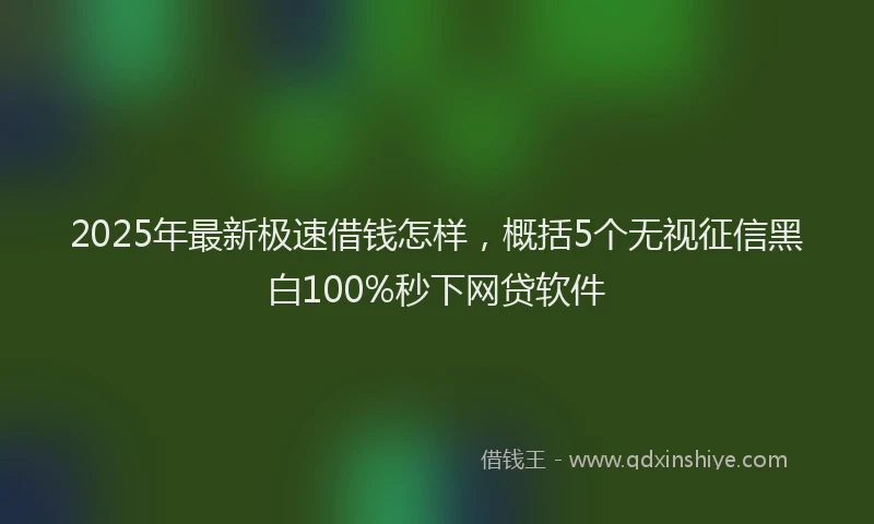 2025年最新极速借钱怎样，概括5个无视征信黑白100%秒下网贷软件
