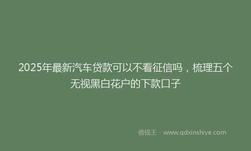 2025年最新汽车贷款可以不看征信吗，梳理五个无视黑白花户的下款口子