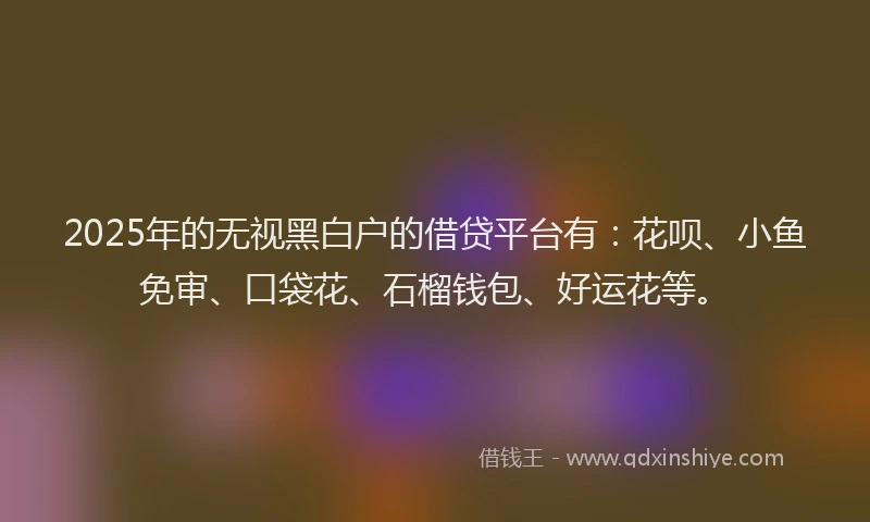2025年的无视黑白户的借贷平台有：花呗、小鱼免审、口袋花、石榴钱包、好运花等。