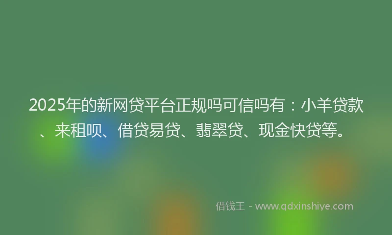 2025年的新网贷平台正规吗可信吗有：小羊贷款、来租呗、借贷易贷、翡翠贷、现金快贷等。